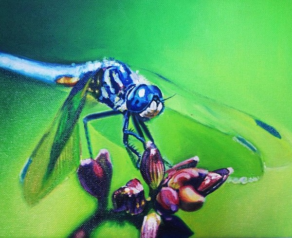 Dragonfly